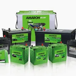 Inverter Battery